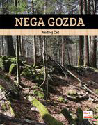 Nega gozda